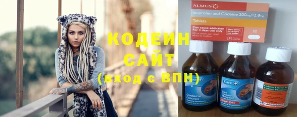 амф Гусиноозёрск