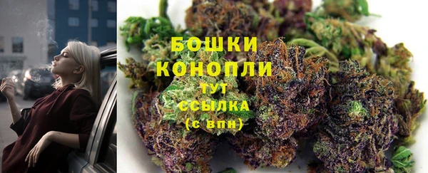 бутират Гусь-Хрустальный