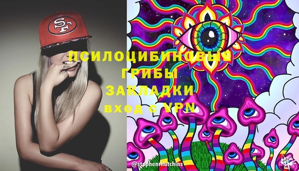 бутират Гусь-Хрустальный