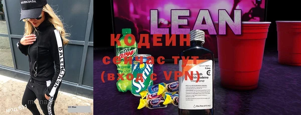 амф Гусиноозёрск